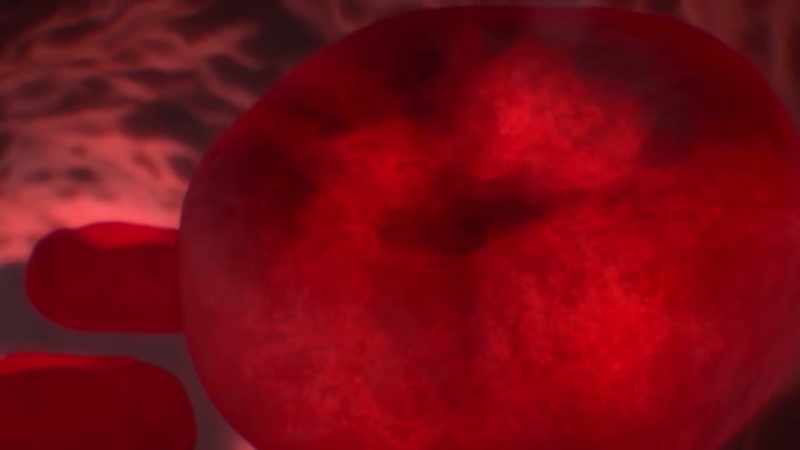 {\an1}It's made of iron, which is why blood is red