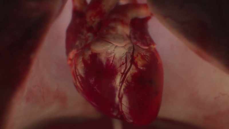 {\an1}Kitty's well-trained heart