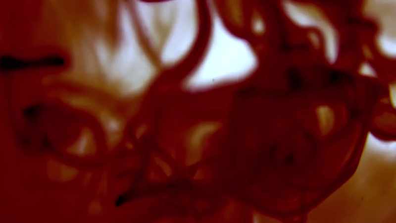 {\an1}The blood is the conduit for all these other organs to function
