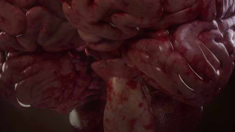 {\an1}The brain cannot function without a moving heart