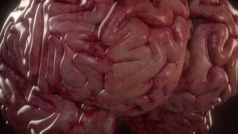 {\an1}-The brain and the heart are connected