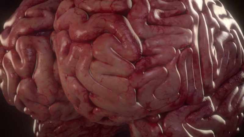 {\an1}The same regions in the brain that regulate your heartbeat