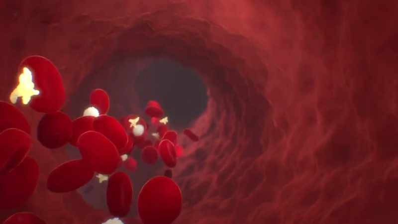 {\an1}-Their never-ending job has given red blood cells