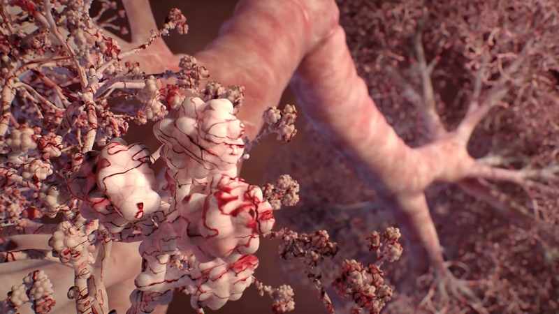 {\an1}There, the blood picks up oxygen