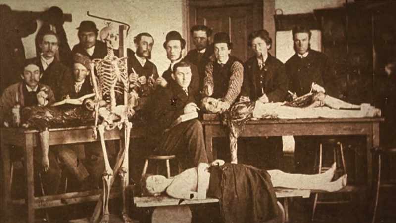 {\an1}They probed these corpses