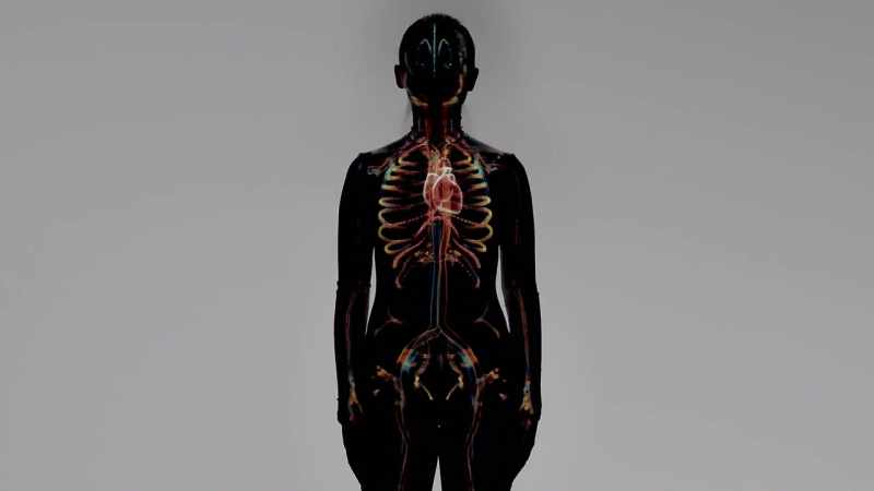 {\an1}-This group of neurons reacts immediately