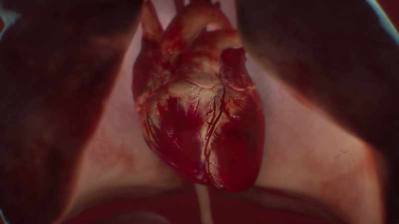 {\an1}When we exercise, the arteries surrounding the heart expand
