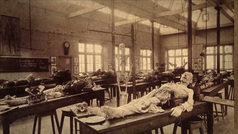 {\an1}When patients died