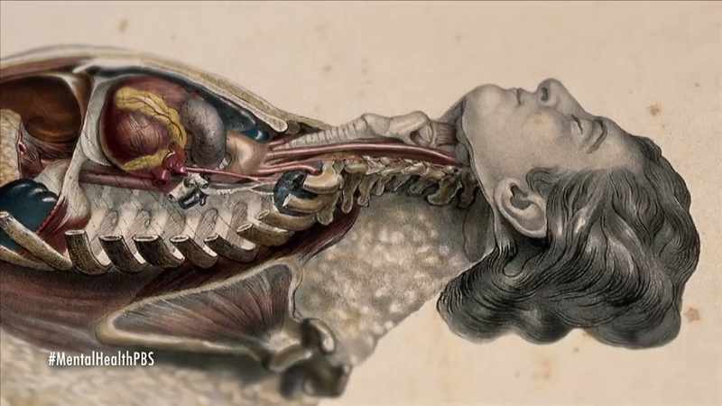 {\an7}Dissections revealed