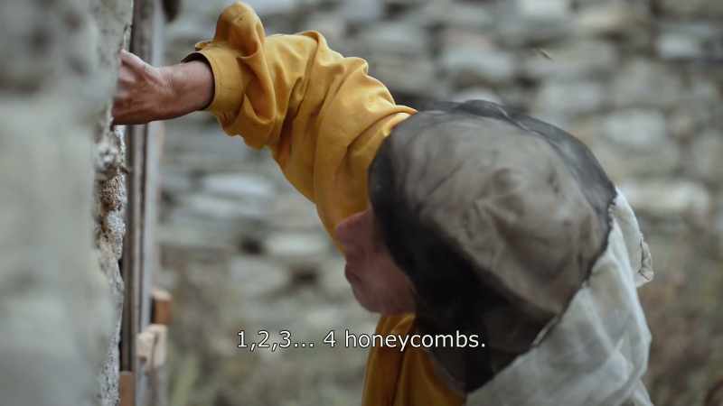 {\An8}1, 2, 3... 4 honeycombs