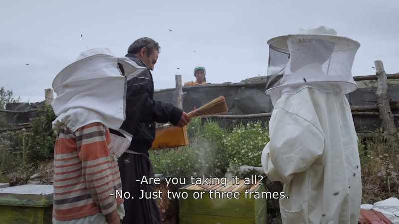 {\An8}- Are you taking it all? - No. Just two or three frames