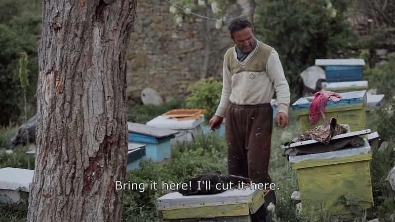 {\An8}Bring here. I'll cut it here