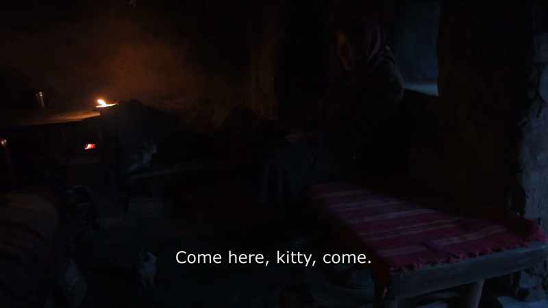 {\An8} Come here, kitty, come