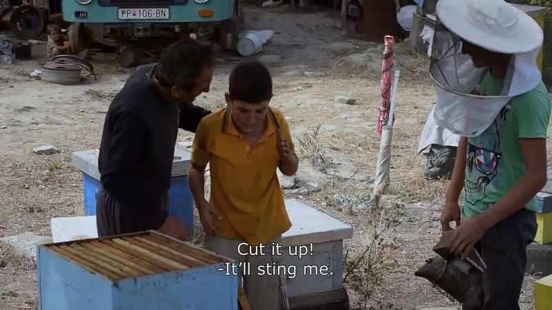 {\An8}Cut it up! - It'll sting me