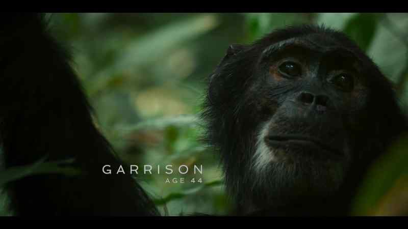{\an8}Garrison is one of those males