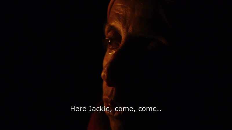 {\An8}Here Jackie, come, come