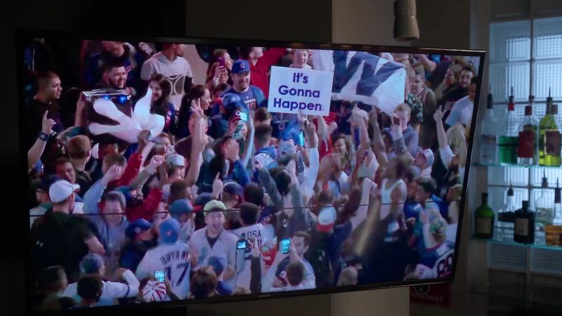 {\an8}The Cubs have done it!