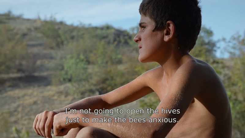 {\An8}I'm not going to open the hives just to make the bees anxious