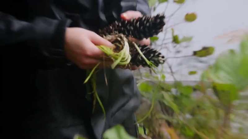 {\an8}I'm really hoping to just highlight what I foraged