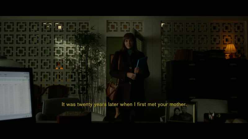 {\an8}It was 20 years later when I first met your mother