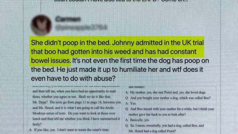 {\an8}It was shared on the record that Depp sent this text