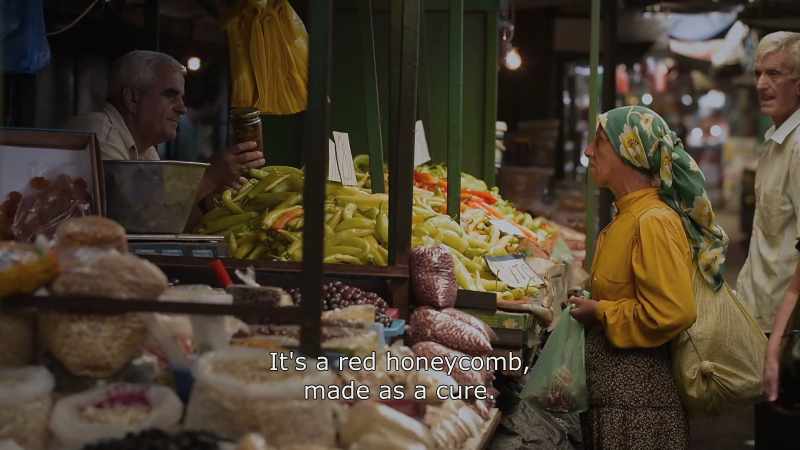 {\An8}It's a red honeycomb, made as a cure. - To cure?