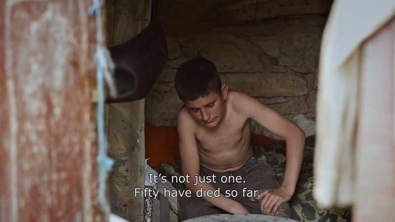 {\An8}It's not just one. 50 have died so far