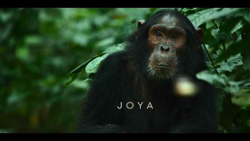 {\an8}Joya is also an orphan