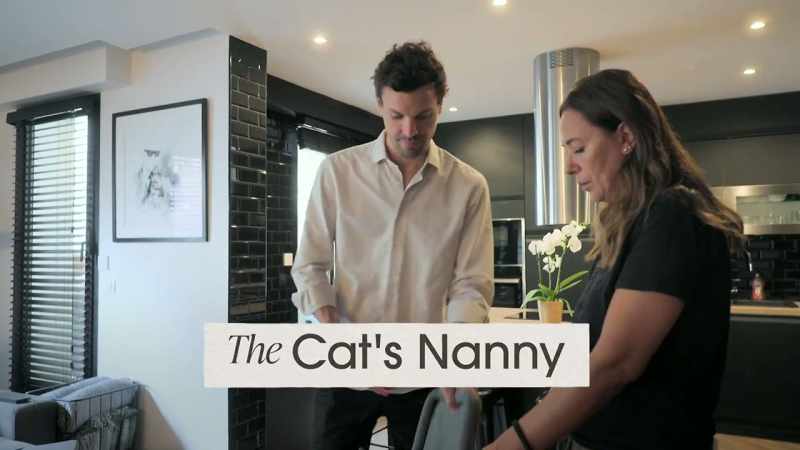 {\an8}LA NOUNOU DU CHAT