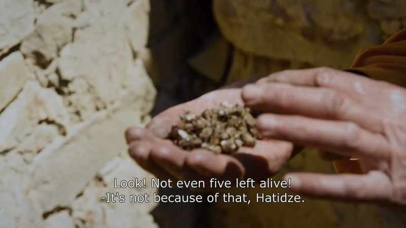{\An8}Look! Not even five left alive! - It's not because of that, Hatidze