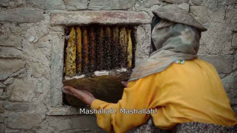 {\An8}Mashalla! Mashalla!