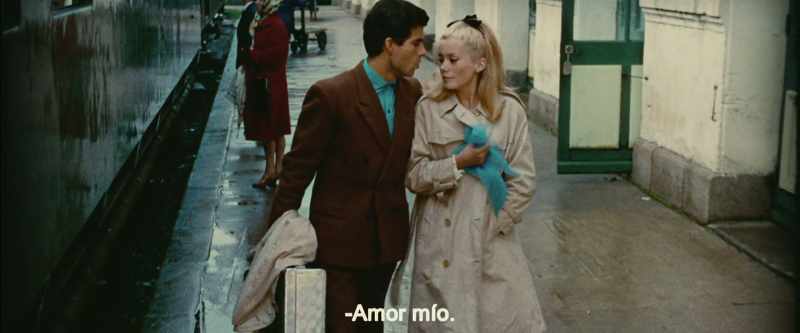 {\an8}My love