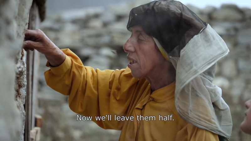{\An8}Now we'll leave them half