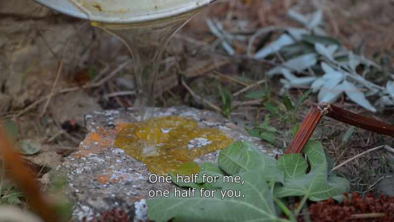 {\An8}One half fo me, one half for you