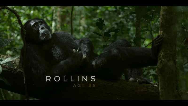 {\an8}Rollins is the west's patrol leader