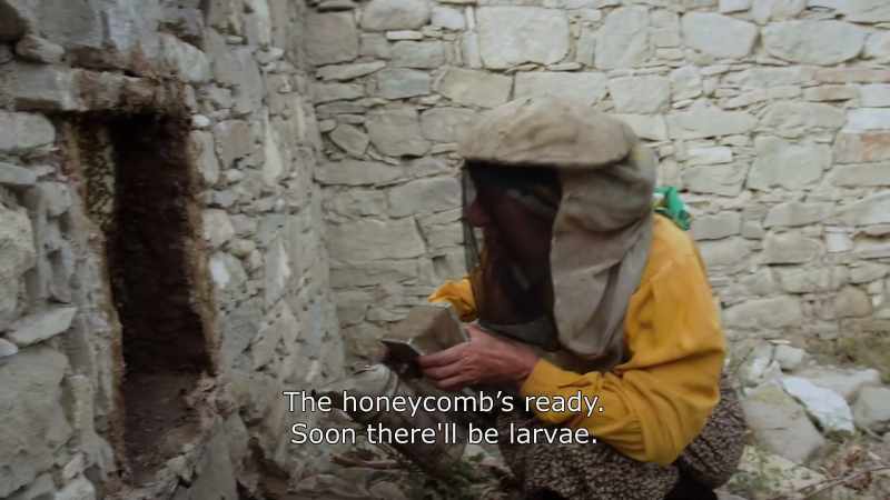 {\An8}The honeycomb's ready. Soon there'll be larvae