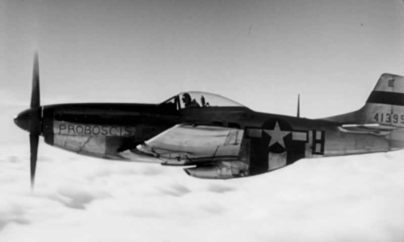 {\an8}The Mustang. The P-51