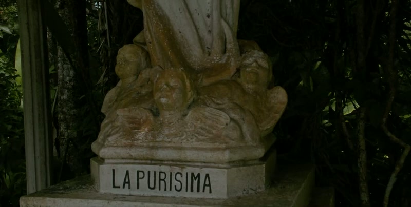 {\an8}THE PUREST
