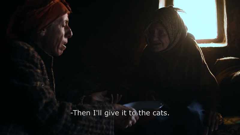 {\An8}Then I'll give it to the cats