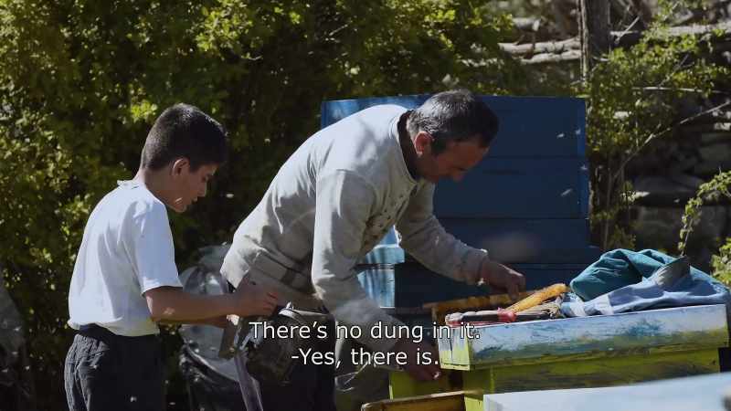 {\An8}There no dung in it. - Yes, there is