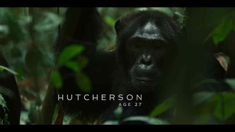 {\an8}There's a strong alpha, Hutcherson