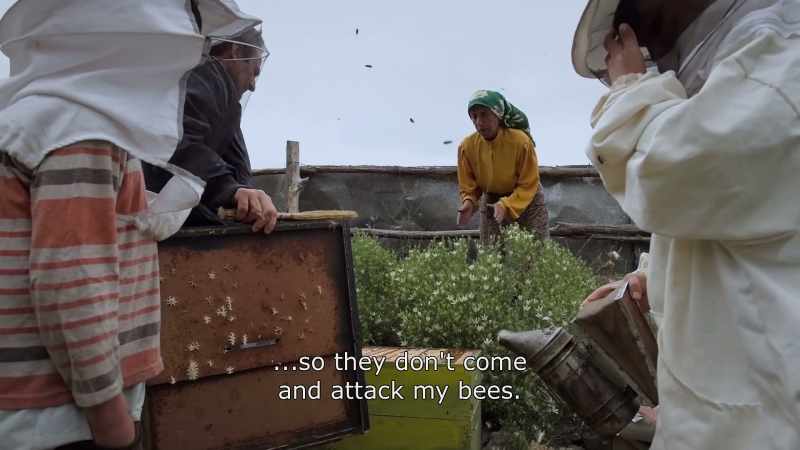 {\an8}... so they don't come and attack my bees