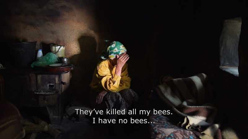 {\An8}They've killed all my bees. I have no bees