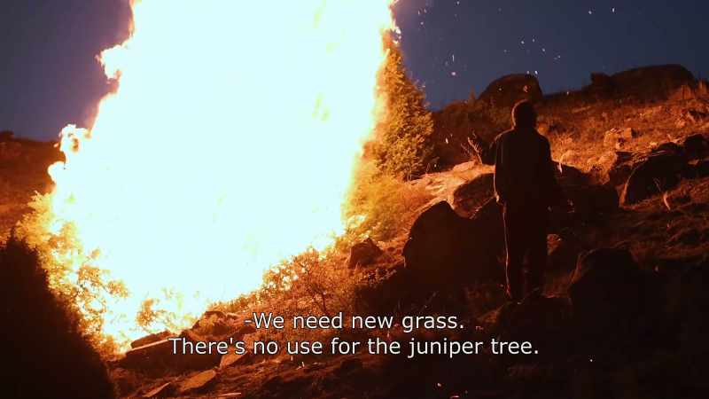 {\An8}We need new grass. There no use for the juniper tree