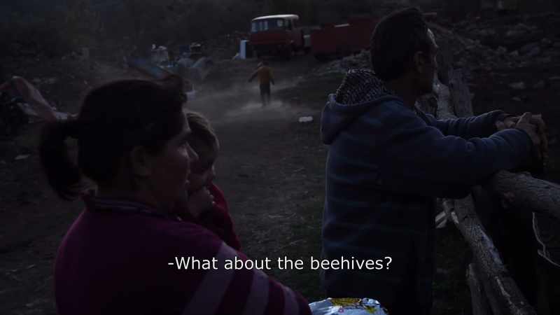 {\An8}What about the beehives?