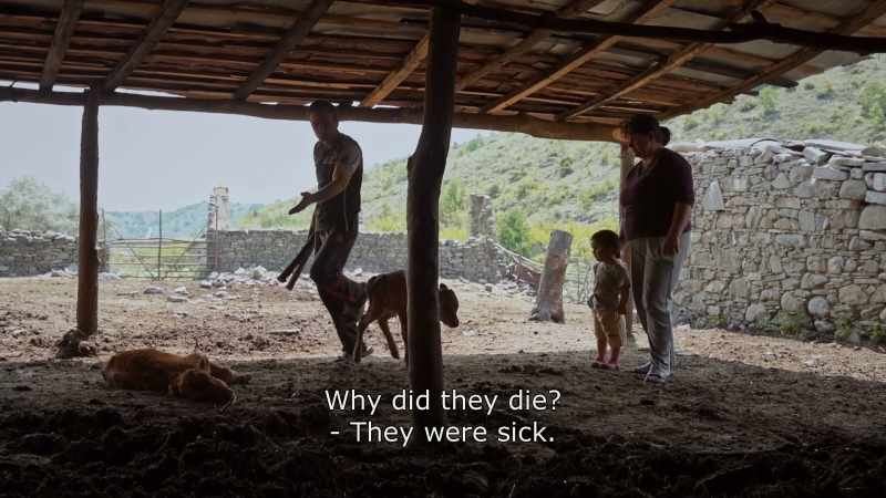 {\An8}Why did they die? - They were sick