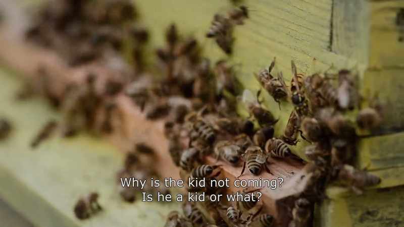 {\An8}Why is the kid not coming? Is he a kid or what?