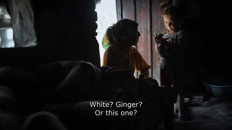 {\An8}Wich one do you want? White? Ginger? Or this one?