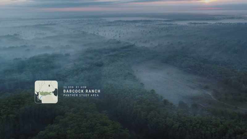 {\an8}(wildlife calls throughout)