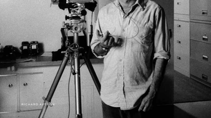 {\an8}With Avedon, it's a very different kind of energy